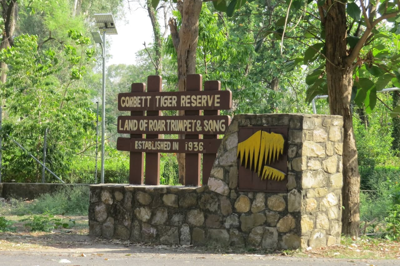 The Royal Tiger Trail Package